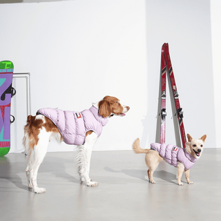 Puppy Gallery Kiroro Cloud Lavender Puffer Dog Jacket - Henlo Pets