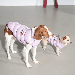 Puppy Gallery Kiroro Cloud Lavender Puffer Dog Jacket - Henlo Pets