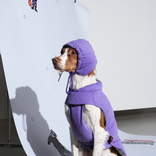 Puppy Gallery Daisy Vintage Purple Puffer Dog Jacket - Henlo Pets
