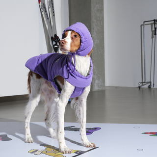 Puppy Gallery Daisy Vintage Purple Puffer Dog Jacket - Henlo Pets