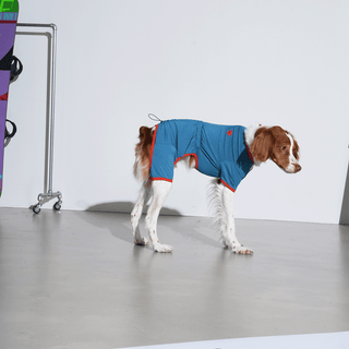 Puppy Gallery SnuggleFit All-in-One Teal Jumpsuit - Henlo Pets