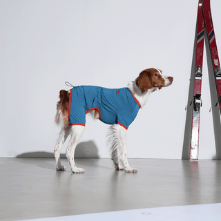 Puppy Gallery SnuggleFit All-in-One Teal Jumpsuit - Henlo Pets