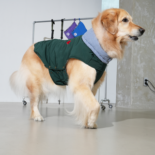 Puppy Gallery My Heart Puffer Dog Jacket - Henlo Pets