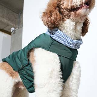 Puppy Gallery My Heart Puffer Dog Jacket - Henlo Pets