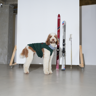Puppy Gallery My Heart Puffer Dog Jacket - Henlo Pets