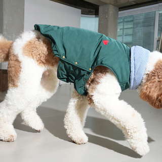Puppy Gallery My Heart Puffer Dog Jacket - Henlo Pets