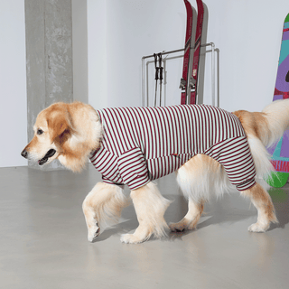 Puppy Gallery JamJam Stripe Mint Jumpsuit - Henlo Pets