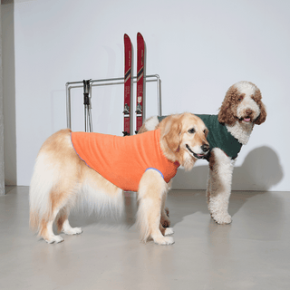 Puppy Gallery Fleece Top Dog Vest - Henlo Pets