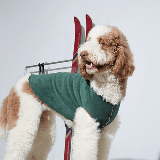 Puppy Gallery Fleece Top Dog Vest - Henlo Pets