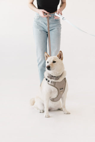 Peachy Dogs Oat Milk Classic 2.0 Harness - Henlo Pets