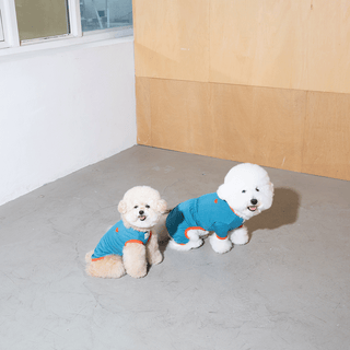Puppy Gallery SnuggleFit All-in-One Teal Jumpsuit - Henlo Pets
