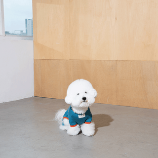 Puppy Gallery SnuggleFit All-in-One Teal Jumpsuit - Henlo Pets