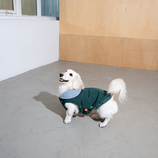 Puppy Gallery My Heart Puffer Dog Jacket - Henlo Pets