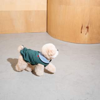 Puppy Gallery My Heart Puffer Dog Jacket - Henlo Pets