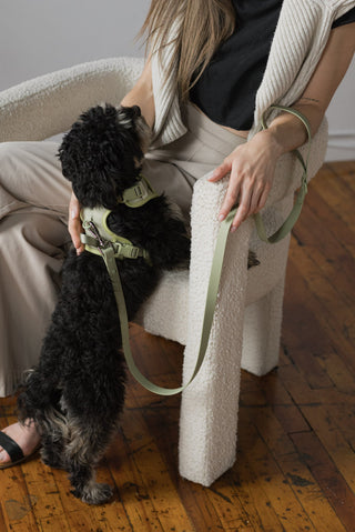 Peachy Dogs Oat Milk Classic 2.0 Dog Harness - Henlo Pets
