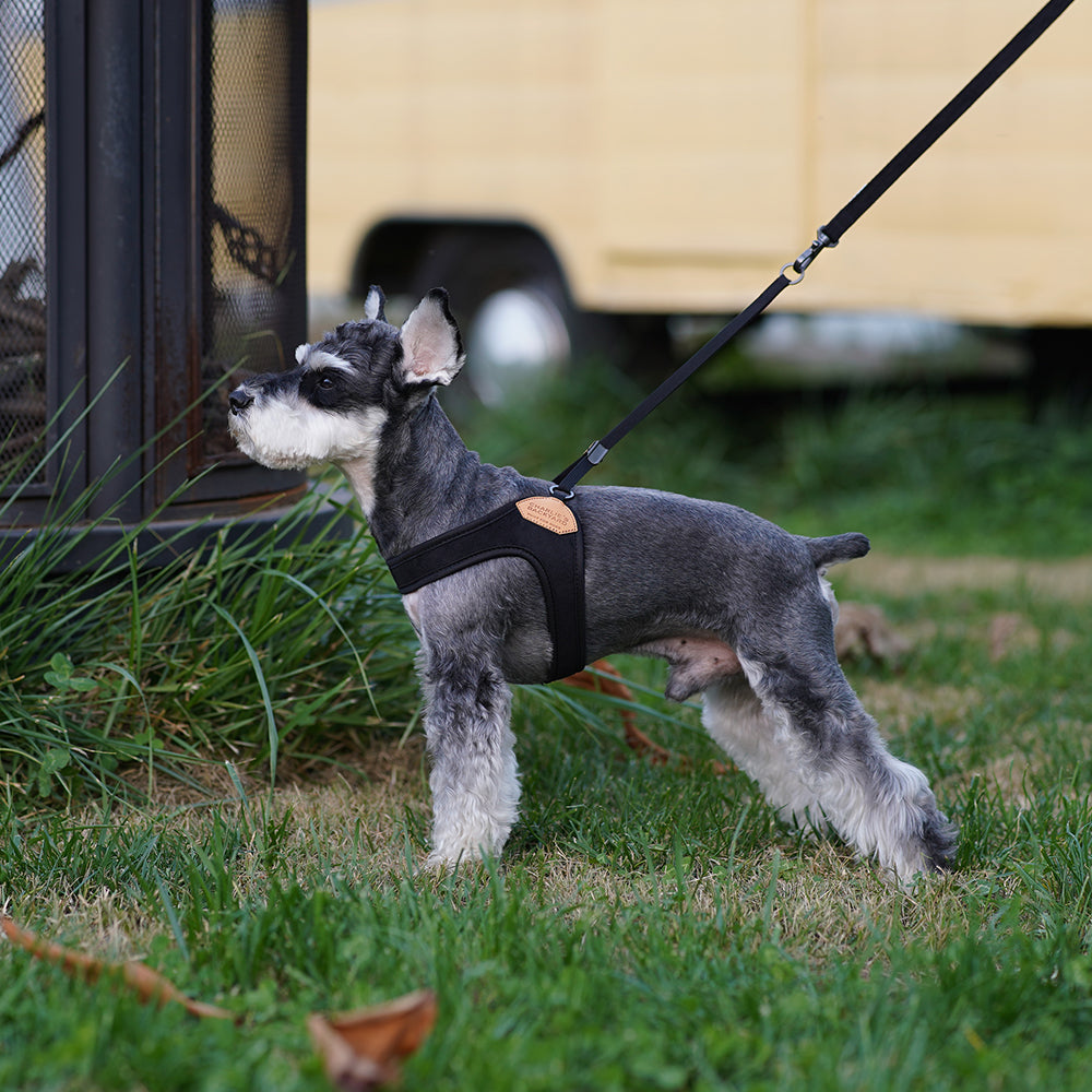 Charlie&#39;s Backyard - Adjustable Easy Harness Black - Henlo Pets