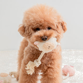 Bite Me BonBon Furry Friends Rope Tug Dog Toy