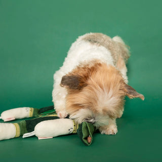 the furryfolks Green Onion Nosework Toy - Henlo Pets