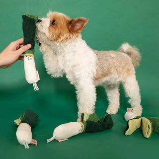 the furryfolks Green Onion Nosework Toy - Henlo Pets