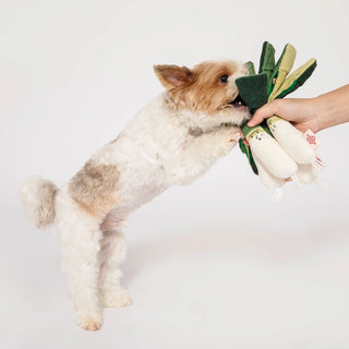 the furryfolks Green Onion Nosework Toy - Henlo Pets