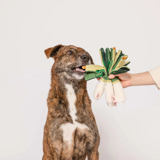the furryfolks Green Onion Nosework Toy - Henlo Pets