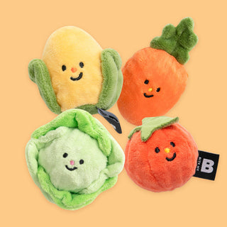Bite Me Vegetable Ball Plush Dog Toy