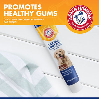 Arm & Hammer™ Tartar Control Enzymatic Toothpaste for Dogs - Beef - Henlo Pets