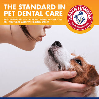 Arm & Hammer™ Tartar Control Enzymatic Toothpaste for Dogs - Beef - Henlo Pets