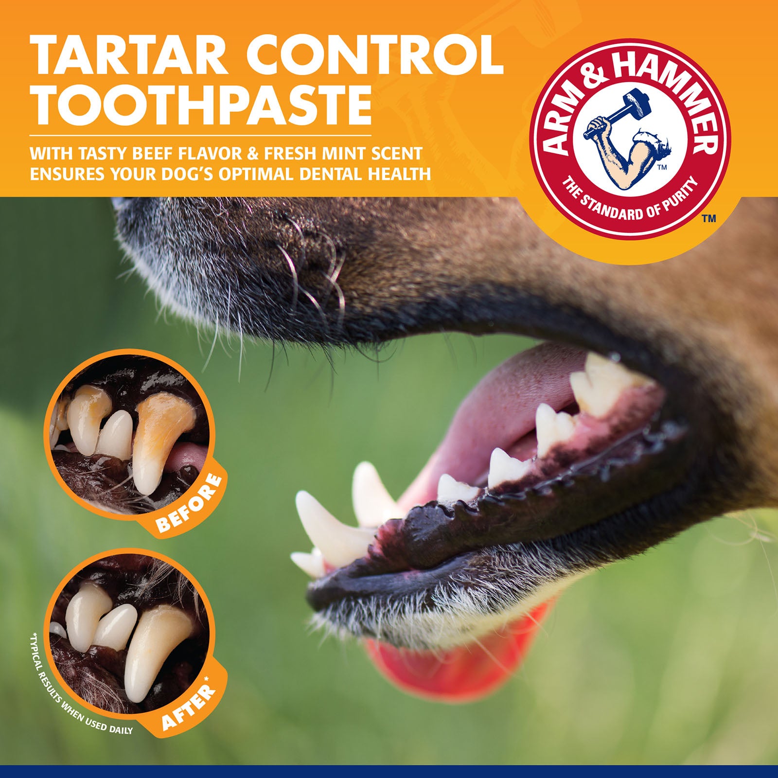 Arm &amp; Hammer™ Complete Care Dental Kit - Adult Dog - Henlo Pets