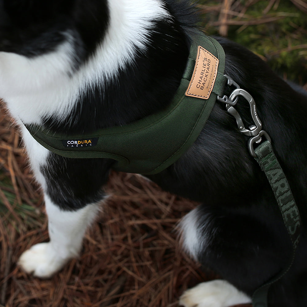 Charlie&#39;s Backyard - Town Cordura® Harness Khaki - Henlo Pets