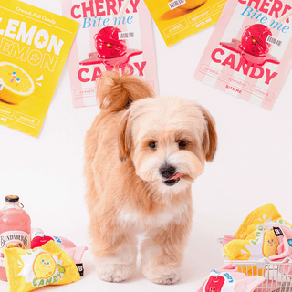 Bite Me Crunchy Candy Ball Dog Toy
