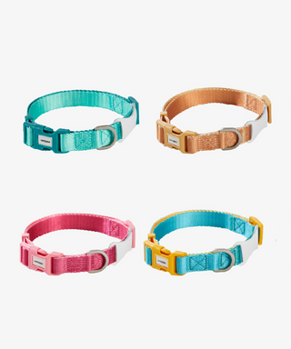 Unmixed - Rainbow Dog Collar - Henlo Pets