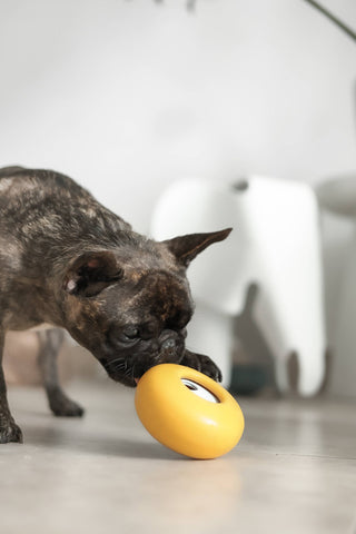 Lunoji Pebble Slow Feeder & Treat Dispenser | Henlo Pets