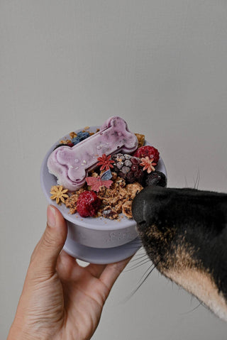 Lunoji CHEWDEN Trove Frozen Treat Cup Dog Enrichment Feeder