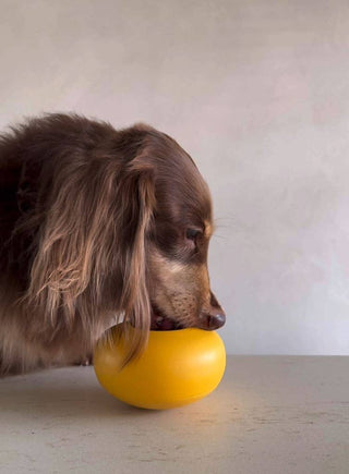Lunoji Pebble Slow Feeder & Treat Dispenser | Henlo Pets