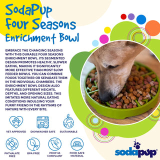 SodaPup Four Seasons eTray Slow Feeder
