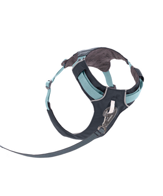 RUFFWEAR 2024 Hi & Light™ Lightweight Dog Harness - Henlo Pets