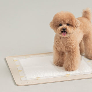 Bite Me - Non Slip Training Pad Waterproof Silicon Mat - Henlo Pets