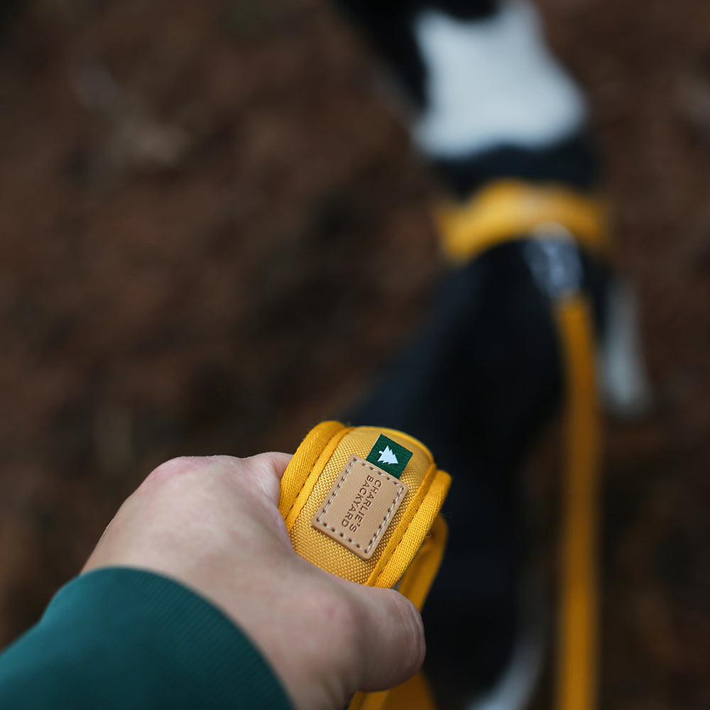 Charlie&#39;s Backyard - Town Cordura® Leash Yellow - Henlo Pets