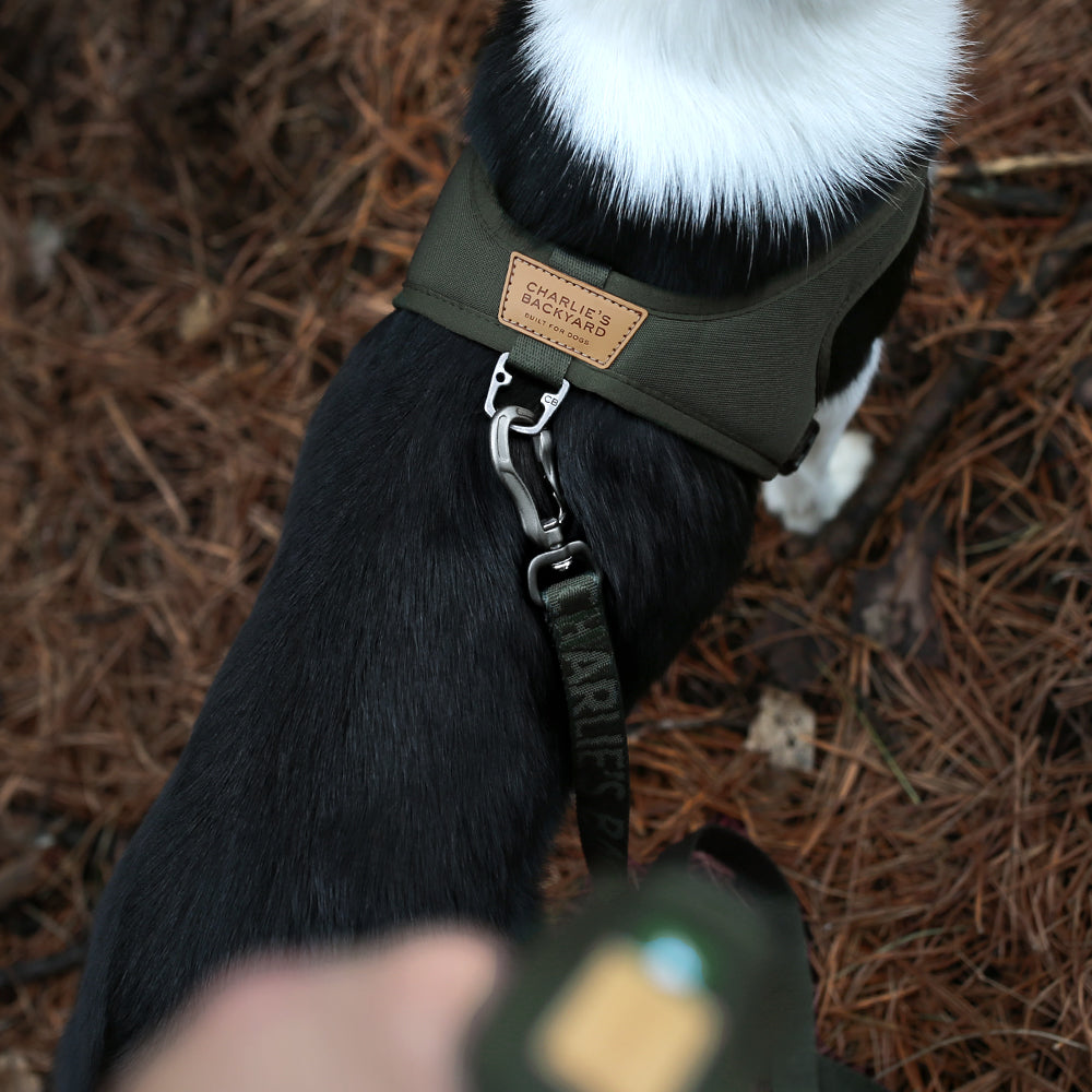 Charlie&#39;s Backyard - Town Cordura® Leash Khaki - Henlo Pets