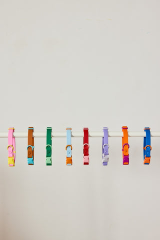 Approved by Fritz Choco Blue Dog Collar | Henlo Pets