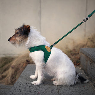 Charlie's Backyard - Adjustable Easy Harness Green - Henlo Pets