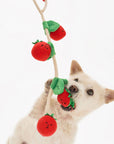 Cherry Tomato Nose Work & Tug Toy - Henlo Pets