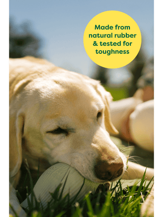 Earth Rated The Ultimate Kibble Dispenser Treat Toy