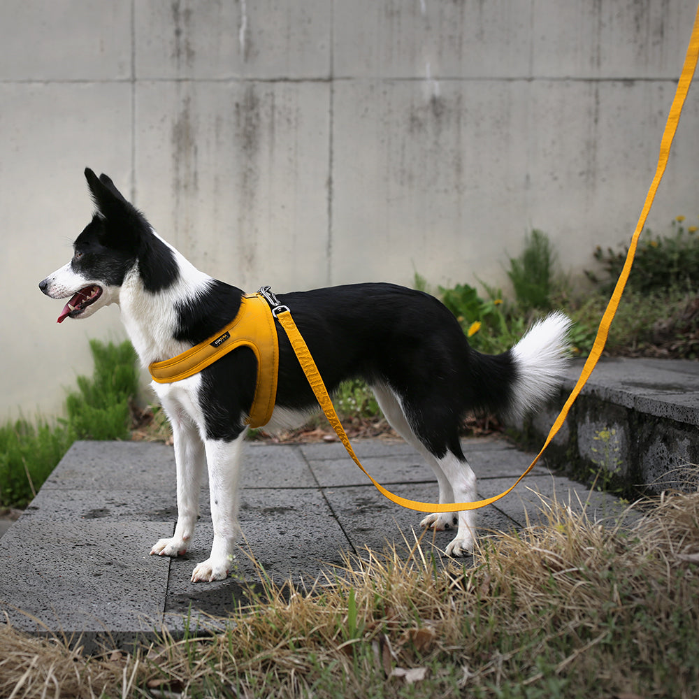 Charlie&#39;s Backyard - Town Cordura® Leash Yellow - Henlo Pets