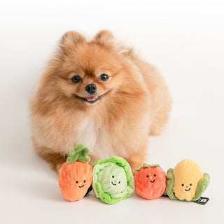 Bite Me Vegetable Ball Plush Dog Toy