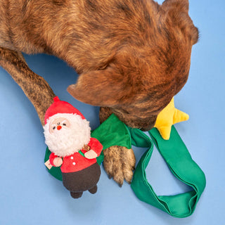 Santa Paws Nosework Toy - Henlo Pets