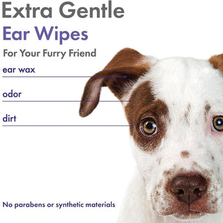 Petkin Plant-Based Lavender Scented Ear Cleaning Wipes | Henlo Pets