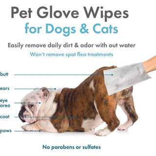 Petkin Pet Glove Wipes Vanilla Scented - Henlo Pets