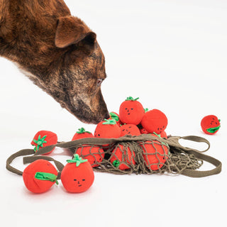 Cherry Tomato Nose Work & Tug Toy - Henlo Pets